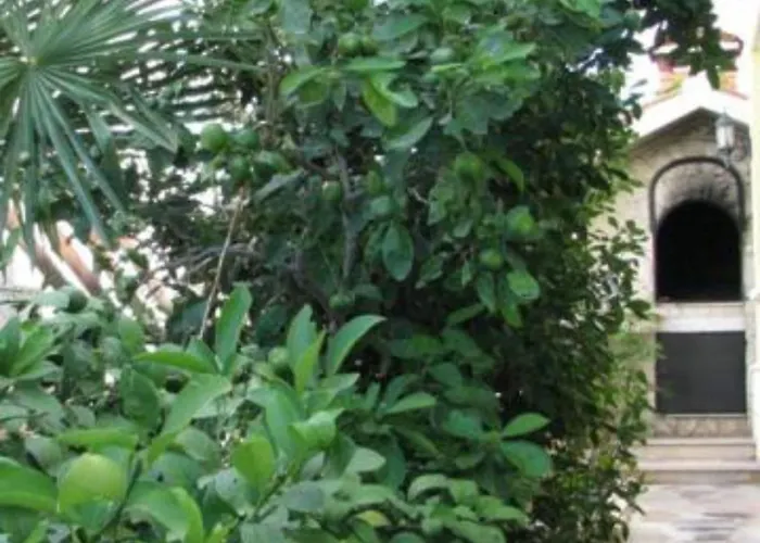 Apartamento Milakovic